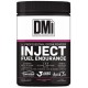 INJECT FUEL ENDURANCE 600 GR