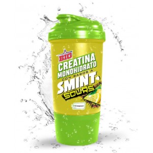 SHAKER SMINT LIMON 500 ML