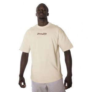 CAMISETA FLAMING FLAKO