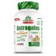 ASTRAGALUS EXTRACT 90 TABS
