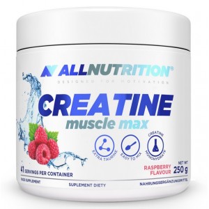 CREATINE MUSCLE MAX 250 GR