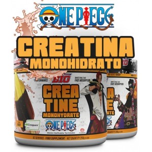 CREATINA ONE PIECE 250 GR