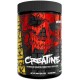 CREATINE 300 GR
