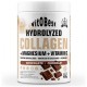 HYDROLYZED COLLAGEN+MAGNESIUM+VITAMIN C 450 GR