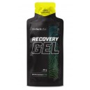 RECOVERY GEL 12X40 GR