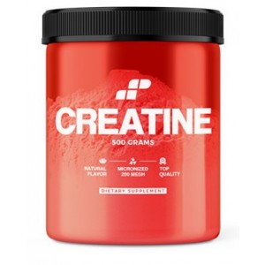 CREATINE 500 GR