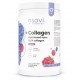 COLLAGEN HYDROLYZED TYPE I & III SABOR 660 GR