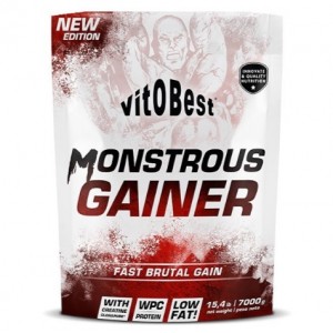 MONSTROUS GAINER 2200 7 KG