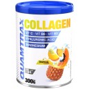 COLLAGEN 300 GR