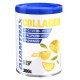 COLLAGEN 300 GR