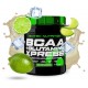 BCAA + GLUTAMINE XPRESS 300 GR
