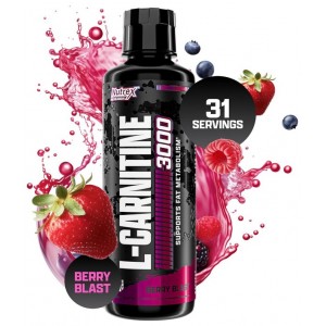 L-CARNITINE 3000 465 ML