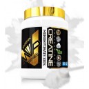 CREATINE MONOHIDRATO 200 MESH 500 GR