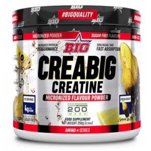 CREABIG 200 MESH 250 GR