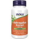 ASTRAGALUS EXTRACT 90 CAPS
