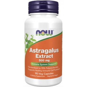 ASTRAGALUS EXTRACT 500 MG 90 CAPS