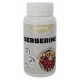 BERBERINE 60 VCAPS