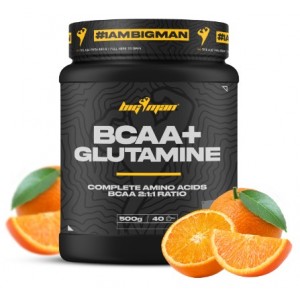 BCAA + GLUTAMINE 500 GR